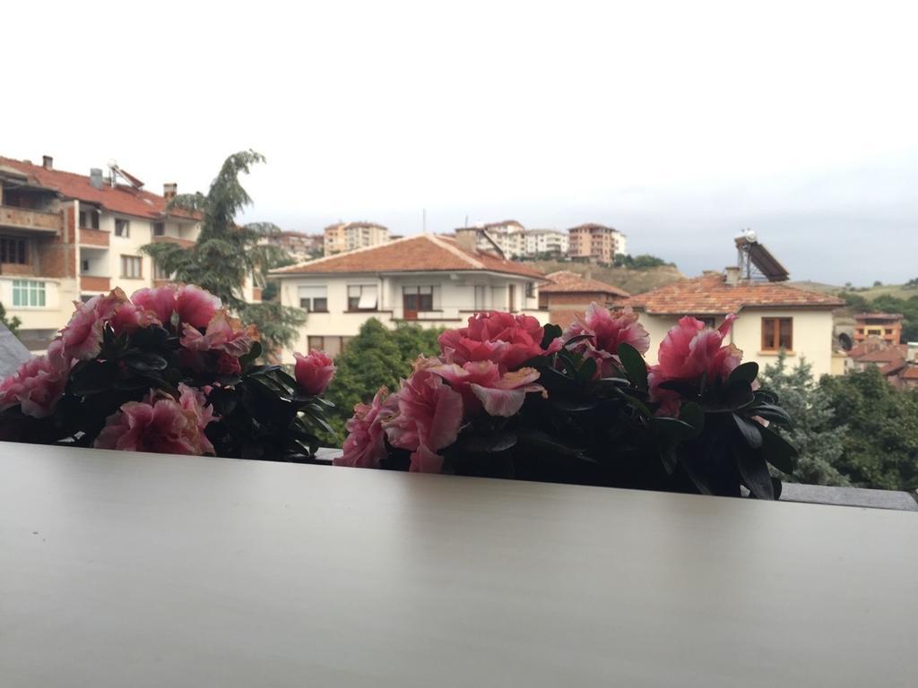 Bora Apartment Sandanski Cameră foto